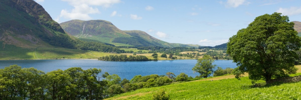 Banner scene landscape of hills tree and lake