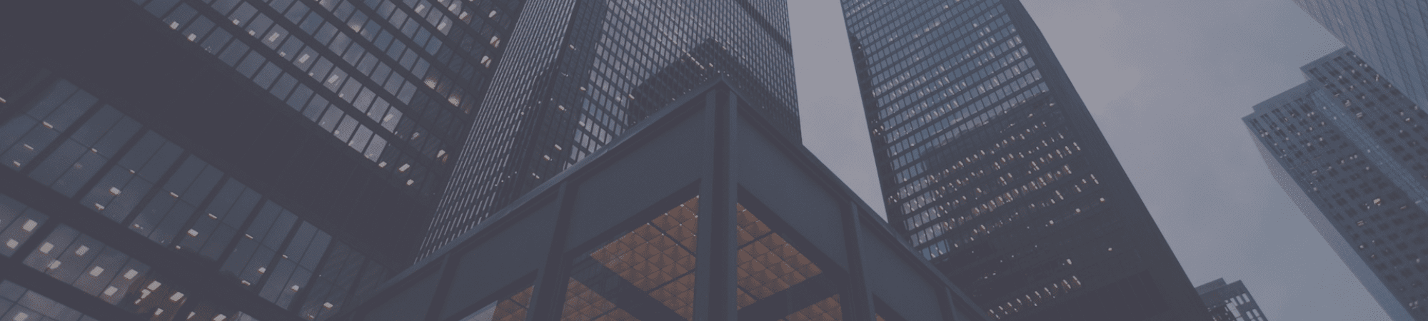 Tall buildings in a vibrant city skyline, glowing under the night sky.