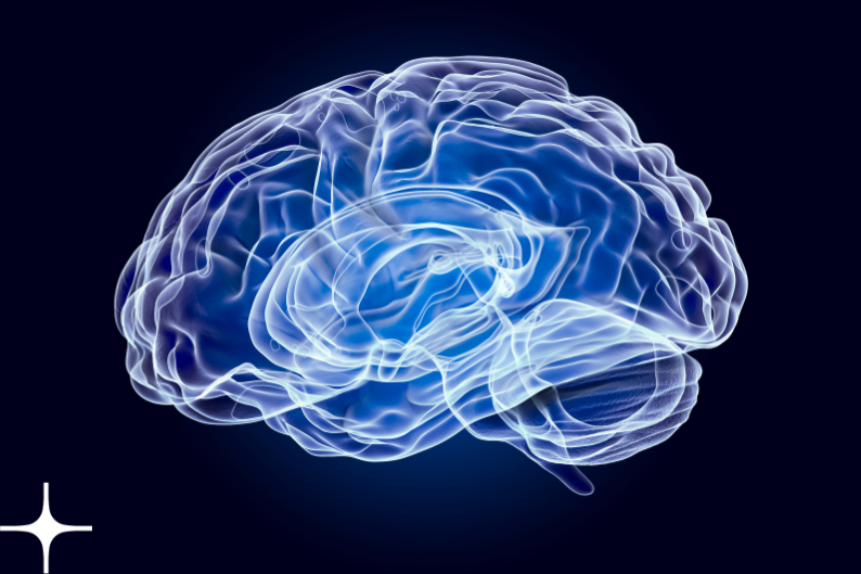 Blog Post   Neurodiversity Celebration Week