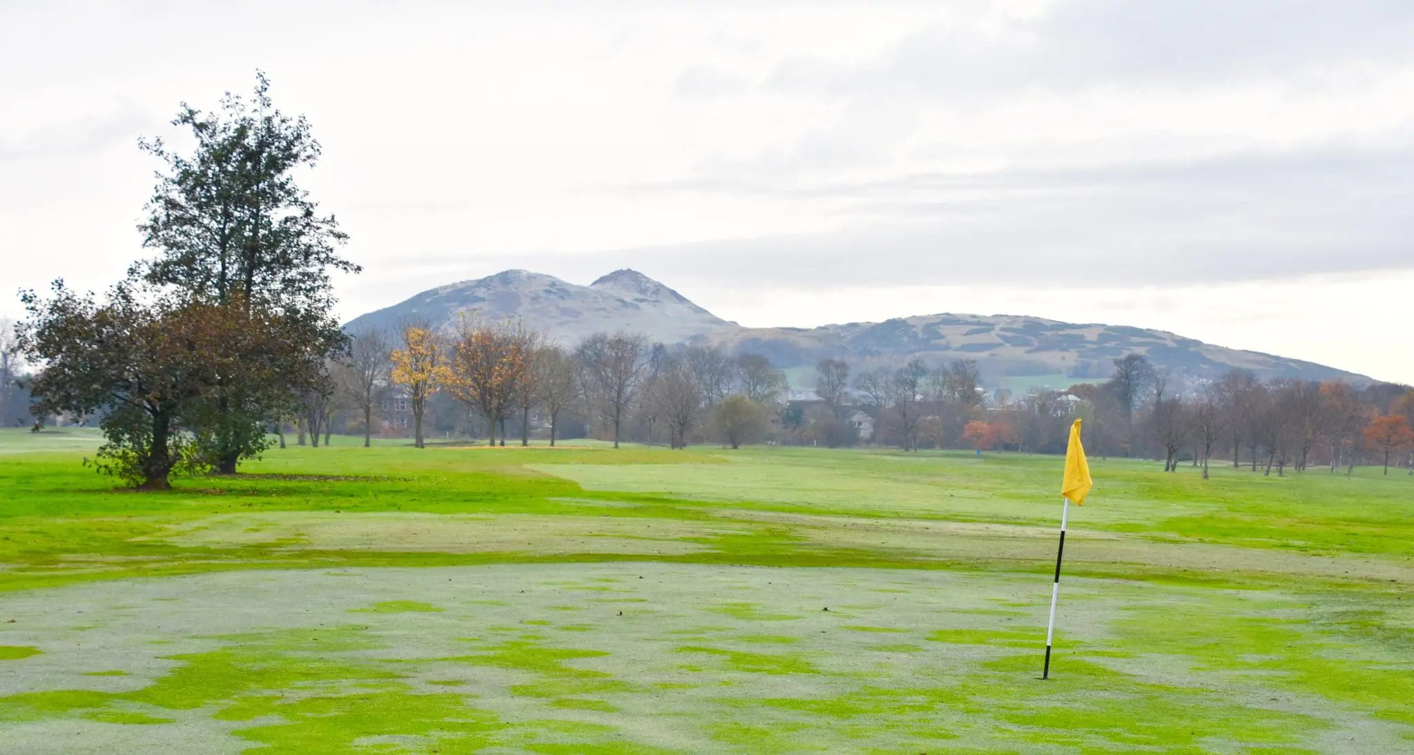 Go to branch: Portobello Golf Course page