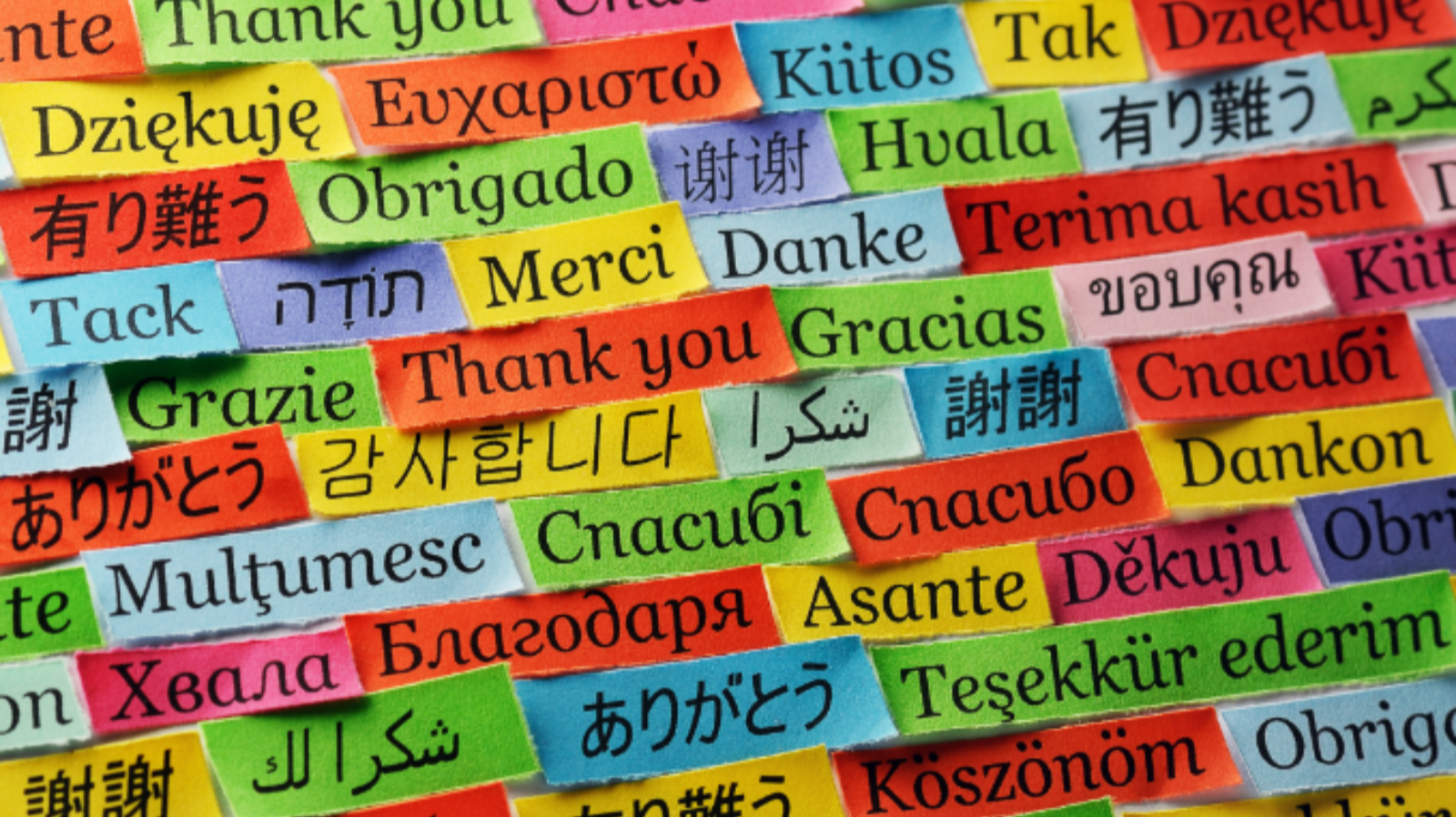 A bunch of colored paper strips saying "thank you" in different languages