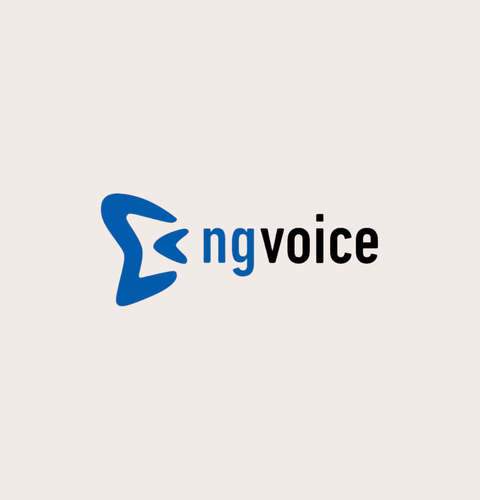 Ng Voice Logo