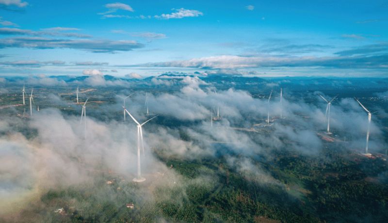 Turning Winds into Wealth - Vietnam's Green Energy Revolution