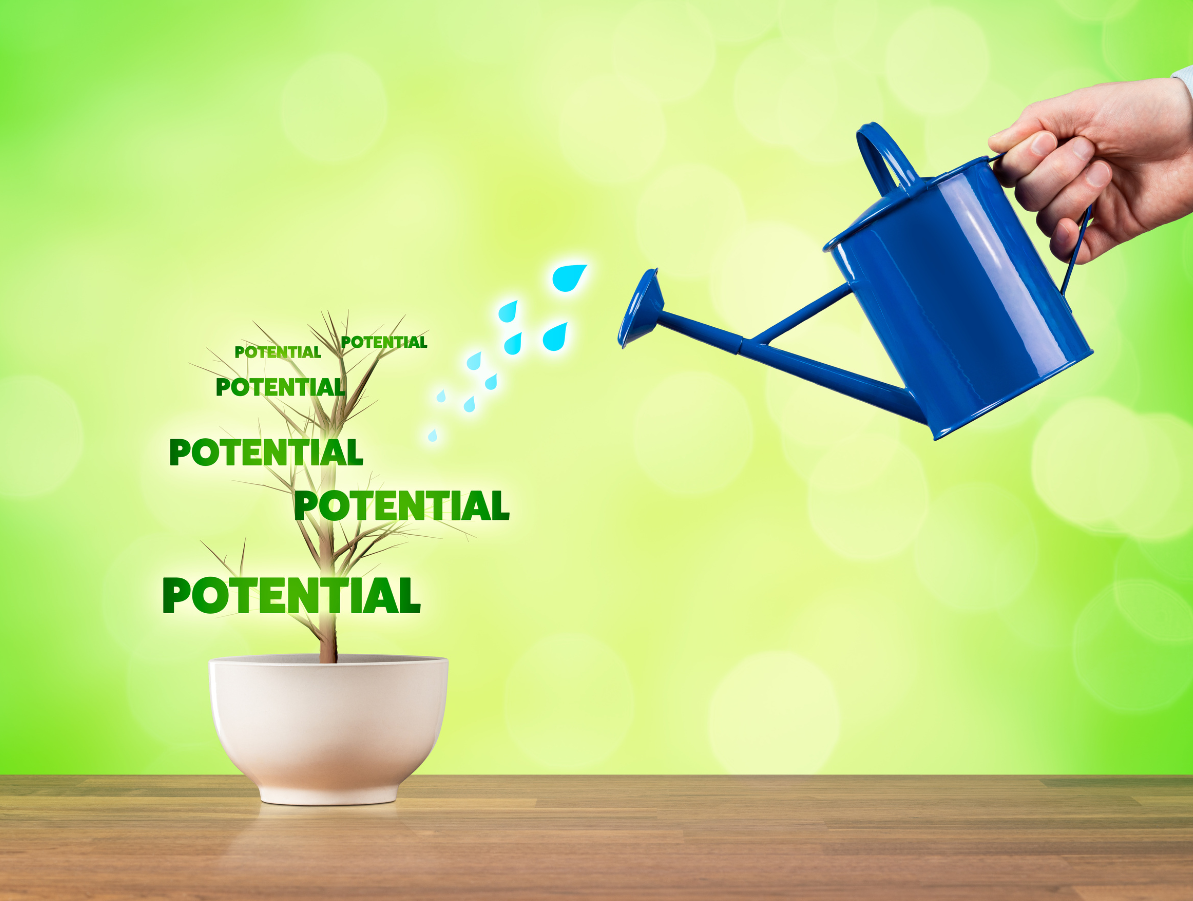 ​Skills Versus Potential: Making the Right Hiring Decision for Your Veterinary Practice