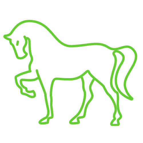 Equine Vets