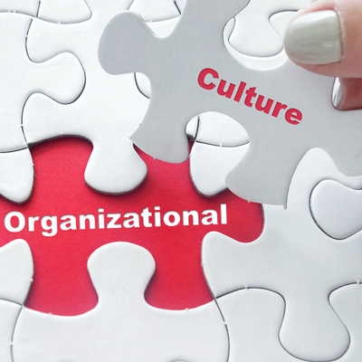 Finding a Company Culture That Fits Image
