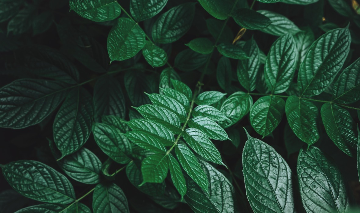 Image 2025 11 04 T06 20 54