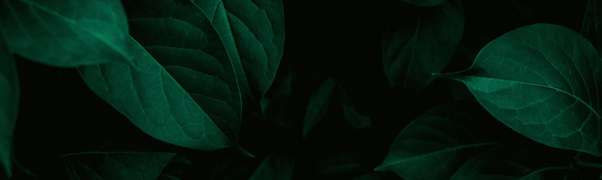 Image 2025 11 14 T06 55 14