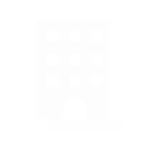 Professional division icon