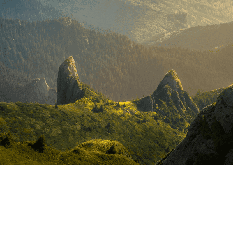 Banner Default Image