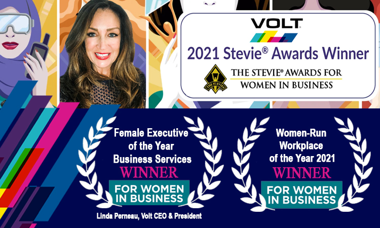 Stevie Awards Winner V6