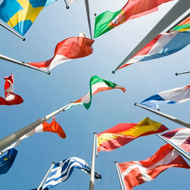 Verschillende vlaggen van Europese landen die partners zijn van EURES
