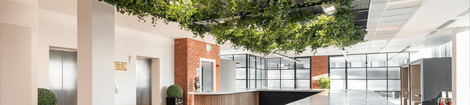 D R Newitt Edinburgh Office Kitchen and recreational space. Featuring glass doors, foliage hanging from the roof, with sunlight coming in. 