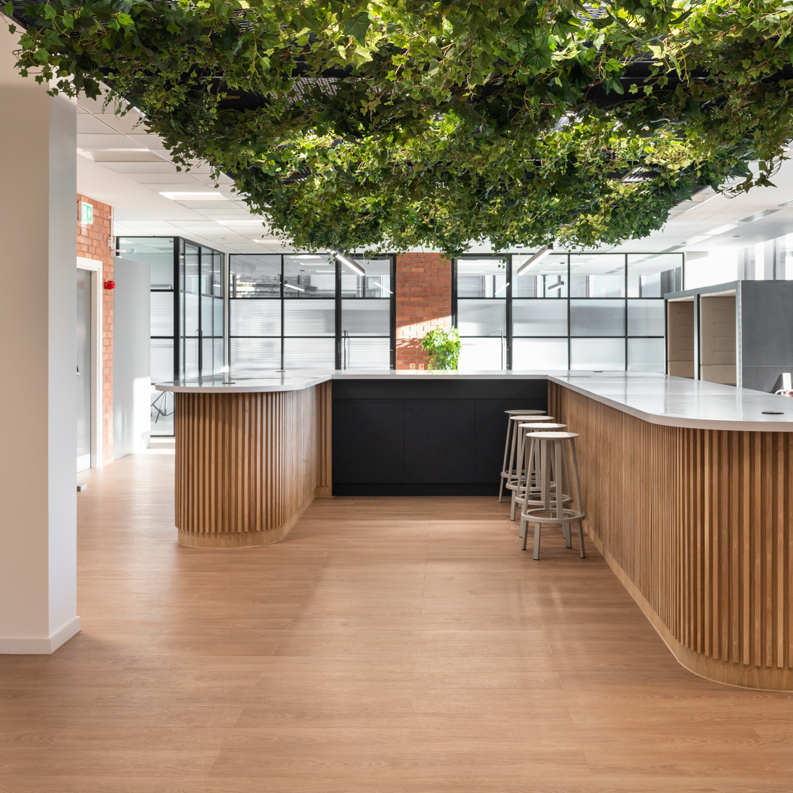 D R Newitt Edinburgh Office kitchen and foliage