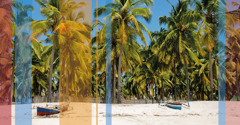 ​Our guide to living in  Mozambique as an expat 