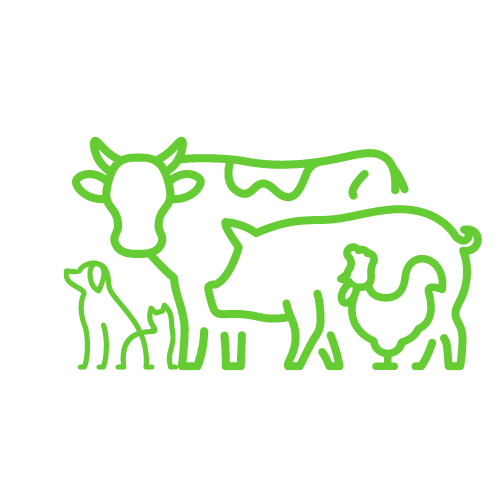 Mixed Animal Vets
