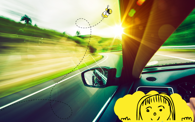 Steering Your Career In The Right Direction