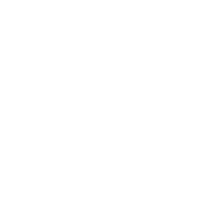 IN2 Consult