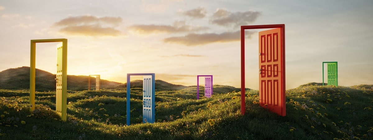 multi coloured open doors in a green field