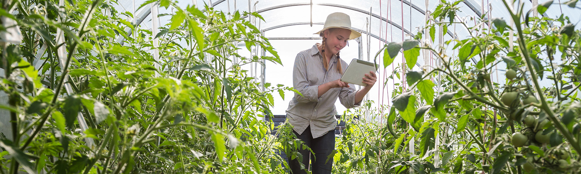 smart agritech