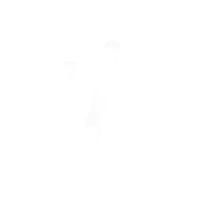 Select Headhunter Technology Division Icon