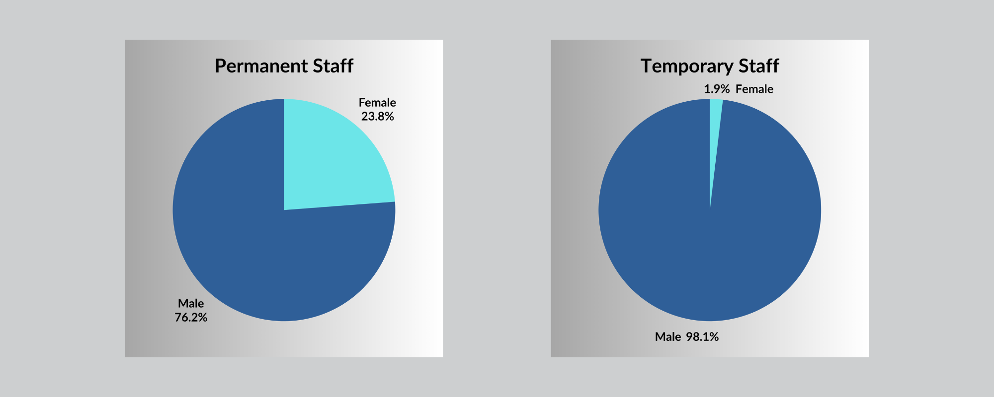 3D 2024 Perm v Temp Gender graphic