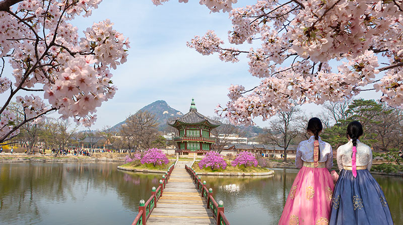 韓国での生活と暮らし