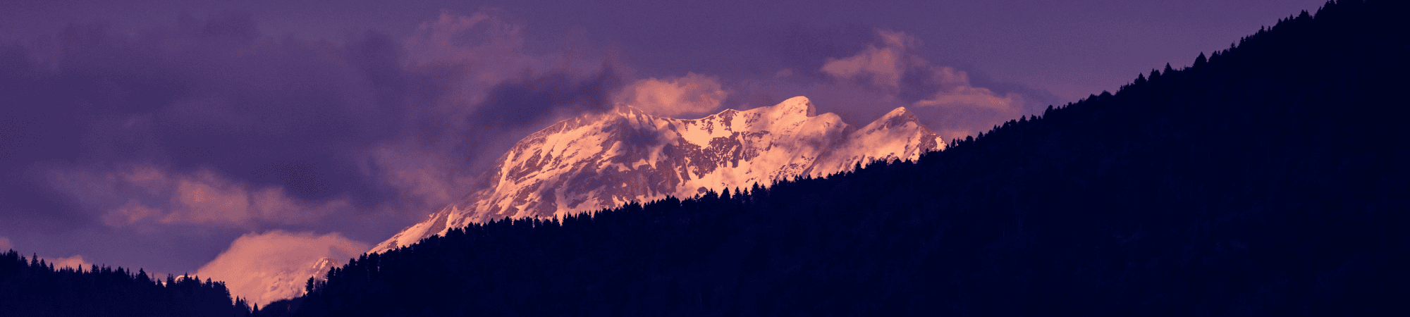 2000 X 450 Px (11)