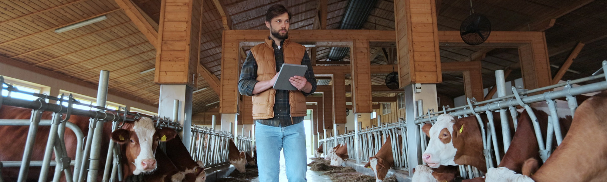 smart farming