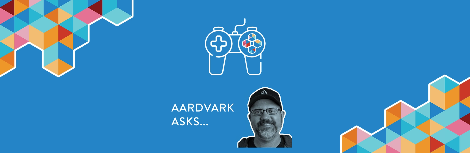 Aardvark Asks Website Banner   Blackbird Interactive