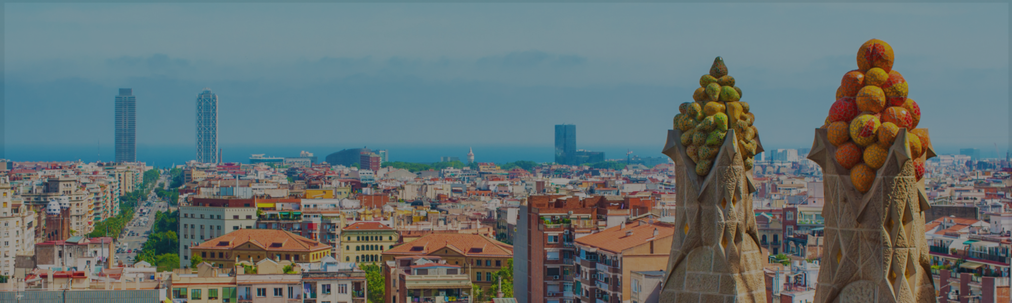 Banner Default Image