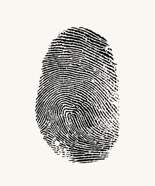 Blu Selection Unique Recruitment Agency