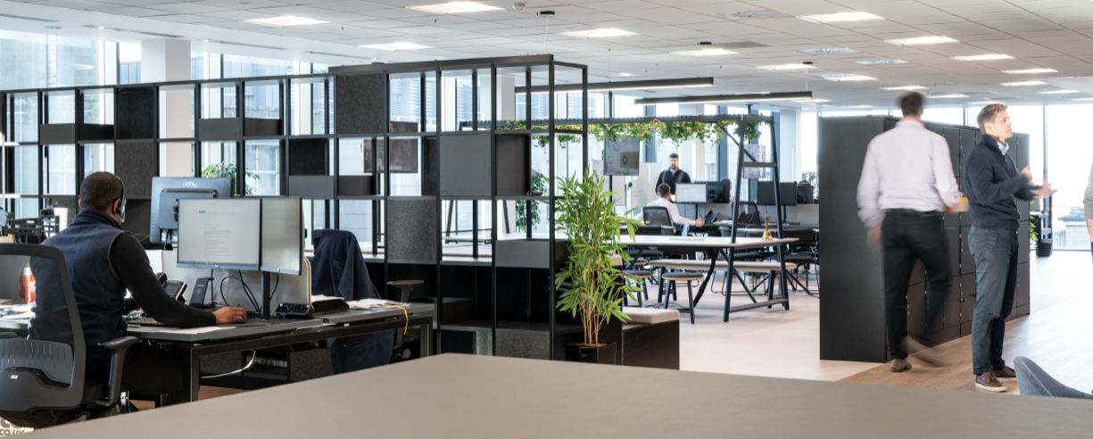 D R Newitt Edinburgh Office, featuring the main work area with employees, meeting spaces, desktop computers and foliage