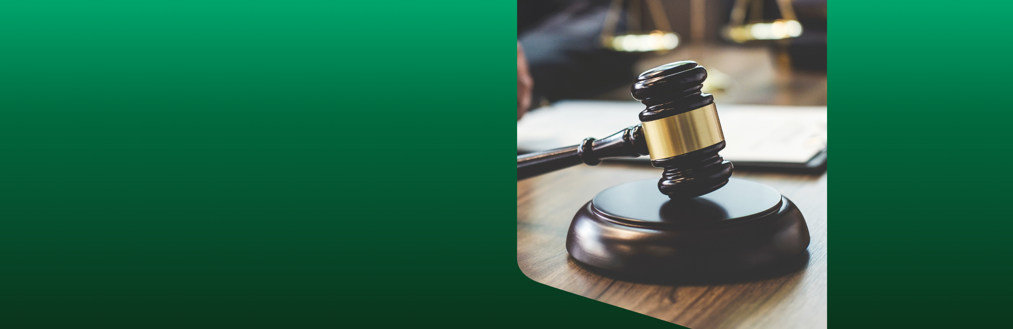 Legal Finance Interim Market Insights