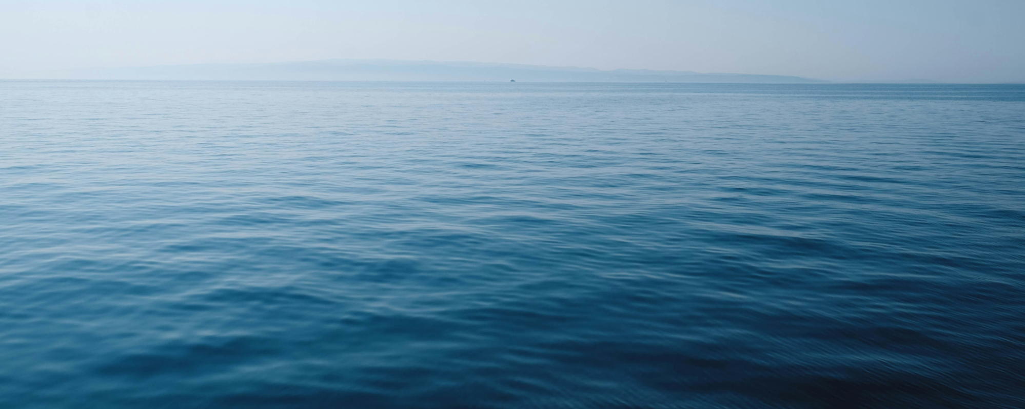 Image 1993743