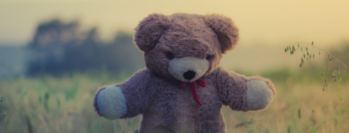 Teddy bear standing in a field