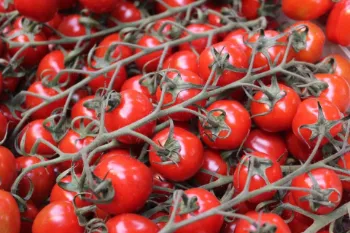 Tomato shortage: Most big supermarkets have not introduced buying limit