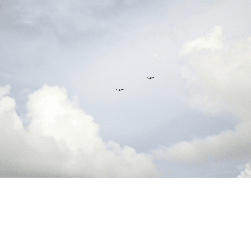 Image 2025 05 22 T10 28 30