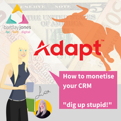How To Monetise Your Crm