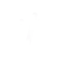 Select Headhunter Technology Division Icon