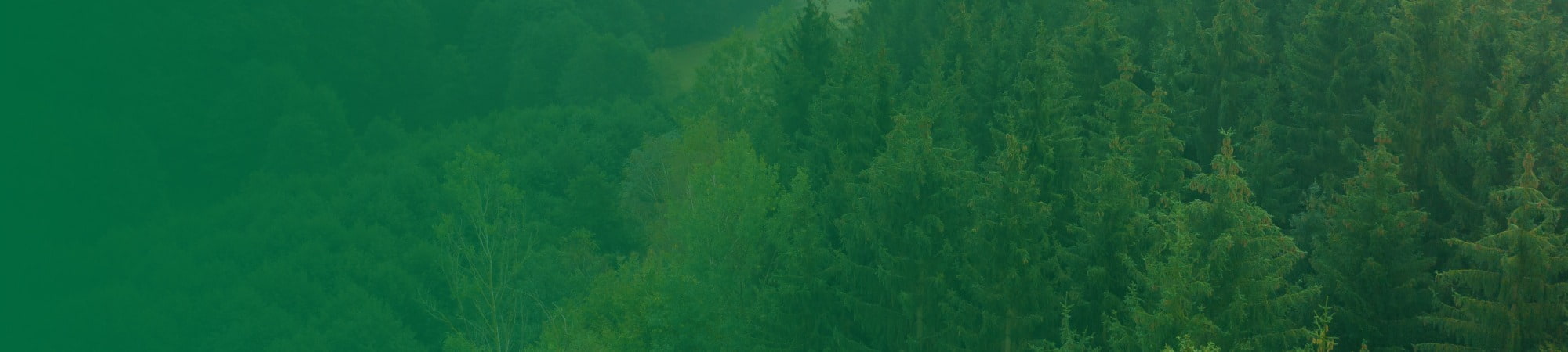 Image 2022 02 22 T15 55 07