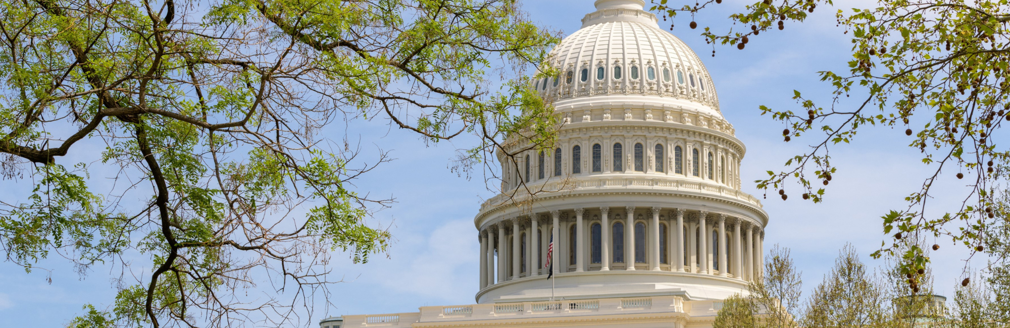 Legal Marketing & BD Salaries in Boston, Chicago, Washington D.C.