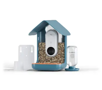 🐦Bird Buddy: A smart bird feeder that detects different species 