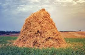 Haystack