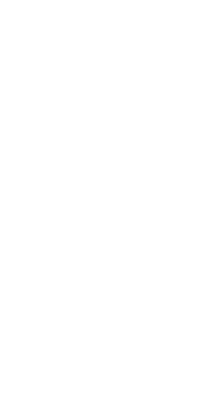 The Property Institute