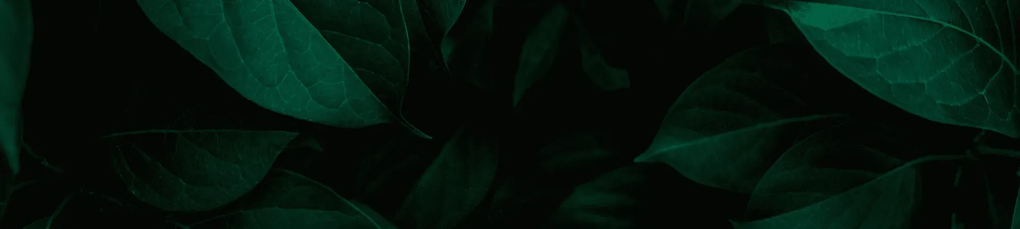 Image 2025 12 01 T08 18 08