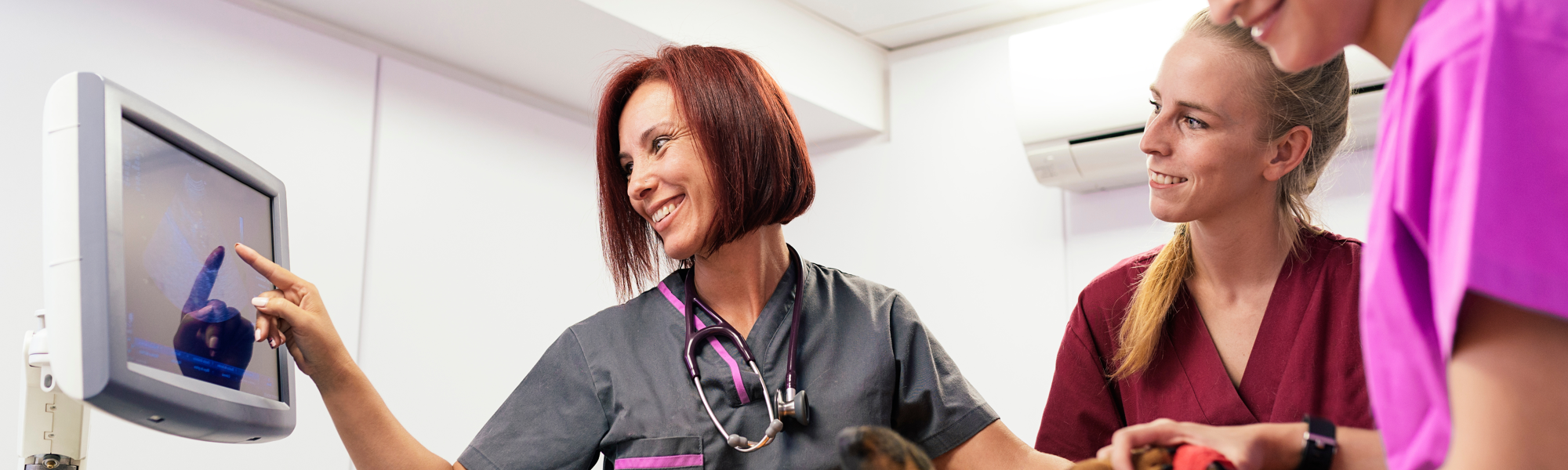 Is Now the Right Time to Move? Signs It’s Time for a New Veterinary Role