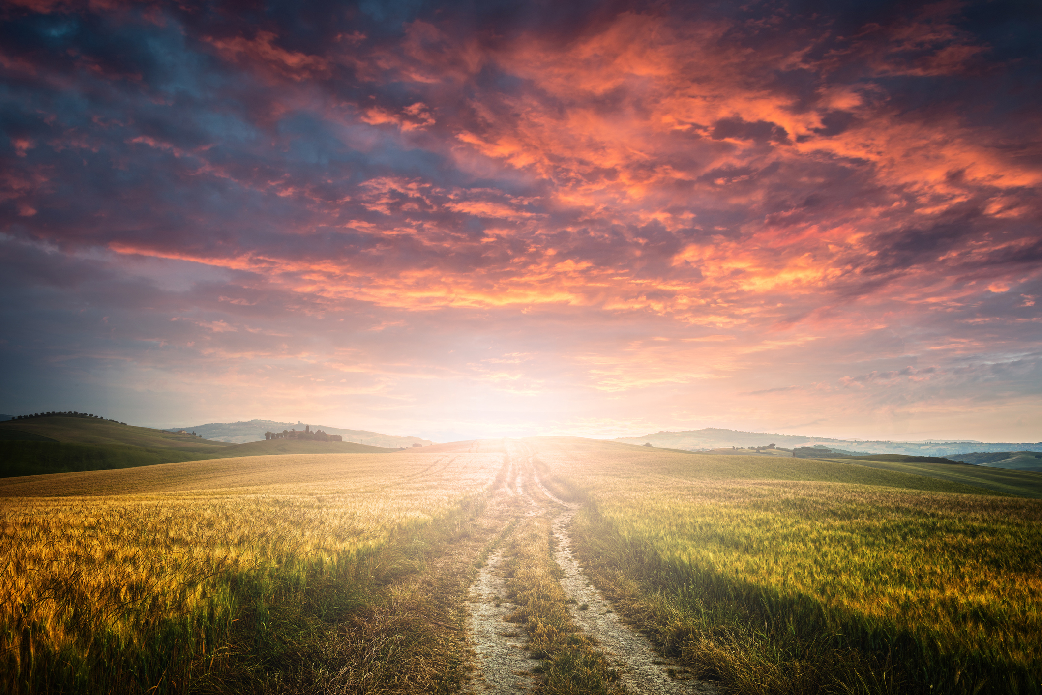 Beautiful Sunset / Sunrise over agricultural field