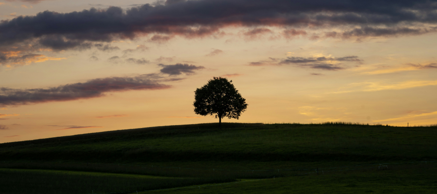 Blog   Has Sustainability Lost Its Sparkle (1)