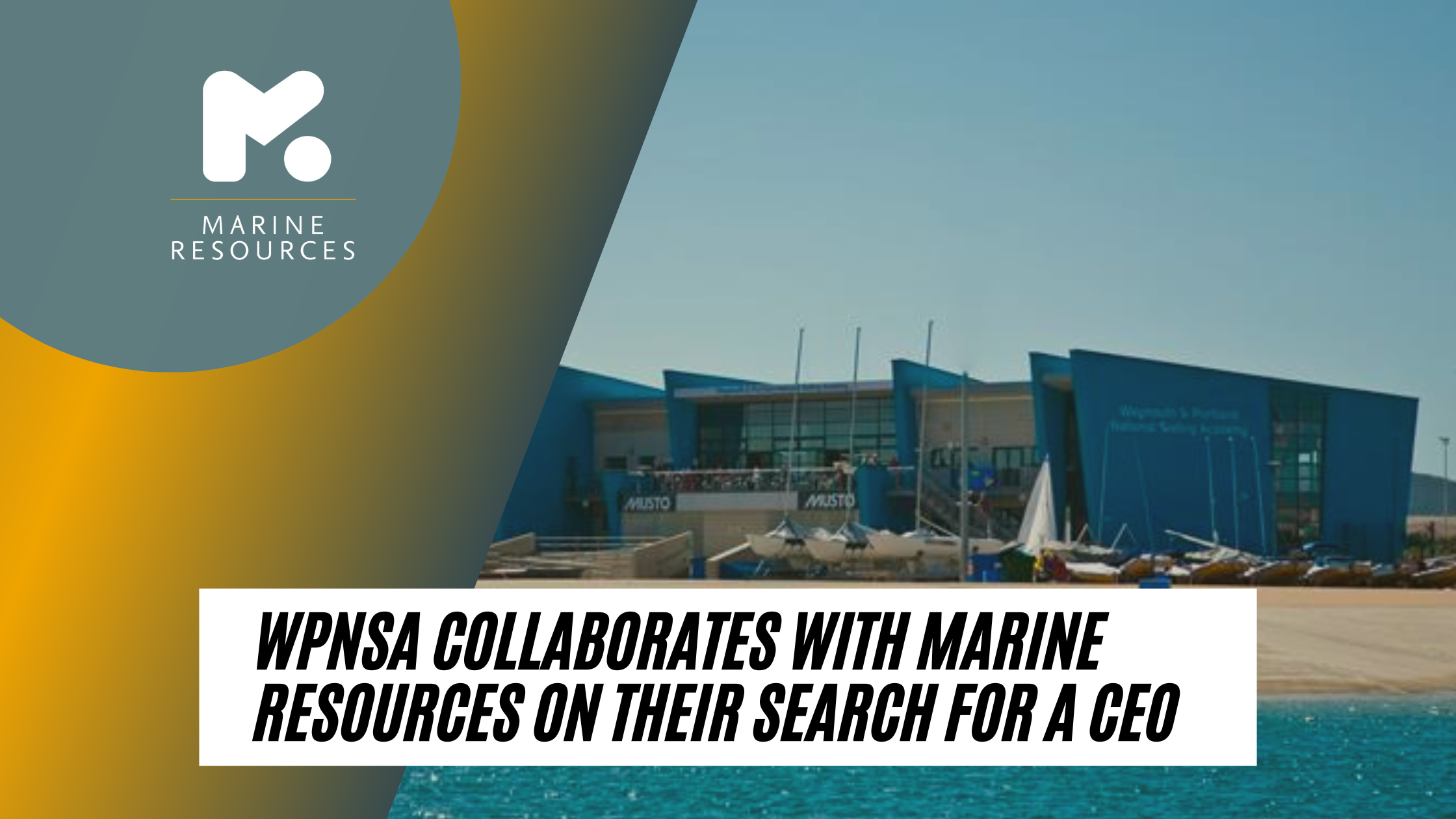 Wpnsa Collaborates With Marine Resources On Their Search For A Ceo